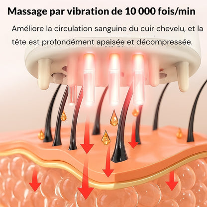 ⚜️ Appareil de Massage Cuir Chevelu & Applicateur de Sérum – Stimulateur de Repousse des Cheveux.